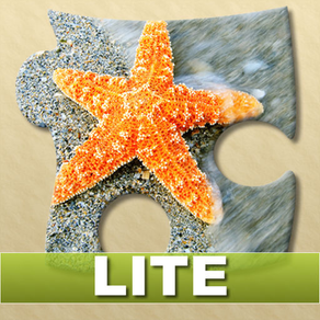 Bright Puzzles: Sea Life Lite