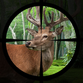 Deer Hunting Expert Shooting 2017