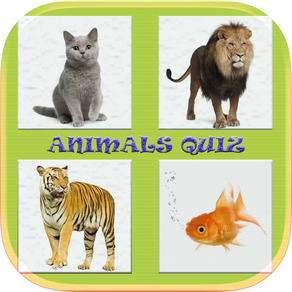 Animals Quiz Game In World
