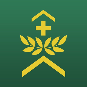 Swiss Armed Forces Insignia