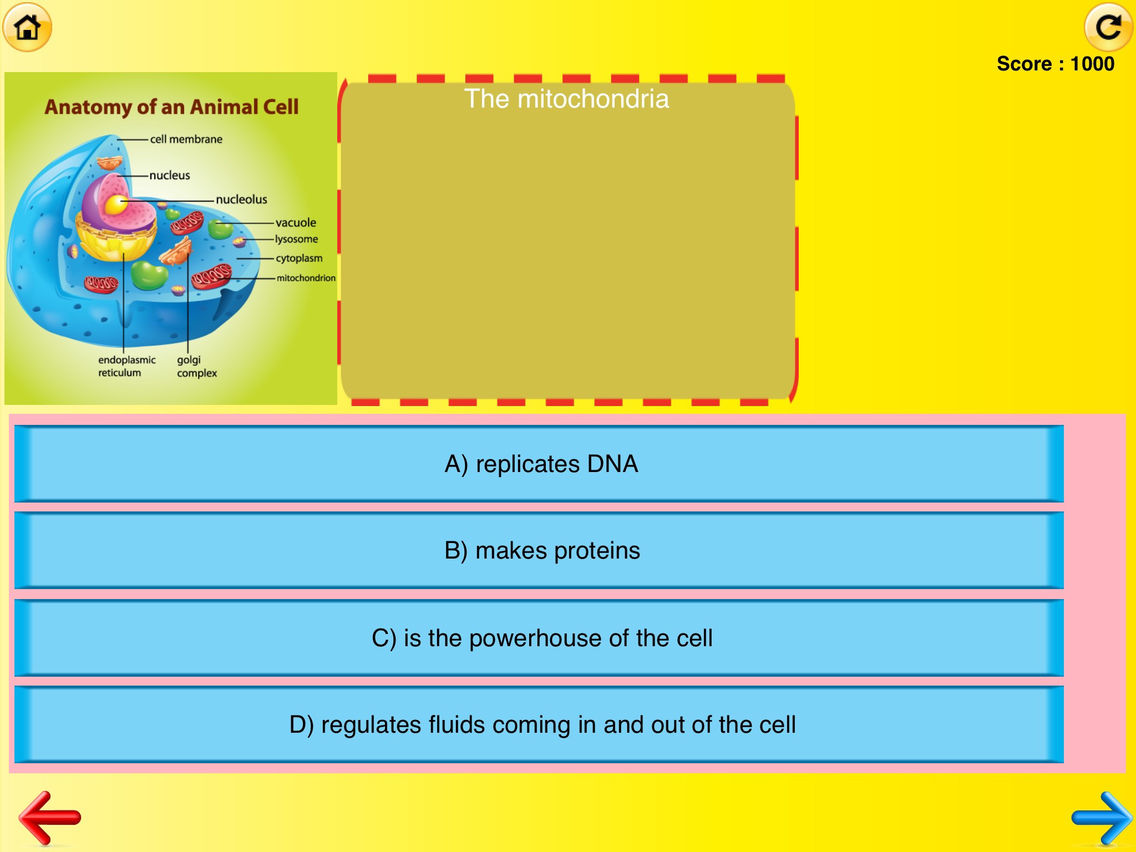 7th Grade Science Quiz # 1 : Practice Worksheets for home use and in school classrooms poster