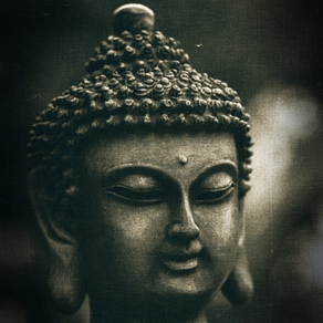 Buddha Spiritual Quotes
