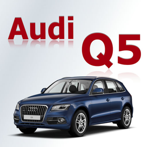 AutoParts  Audi  Q5