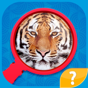 Zoom Pics - close up zoomed images and guess words trivia quiz game