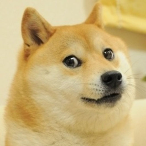 100 Doge Balls! So Shibe! Wow!