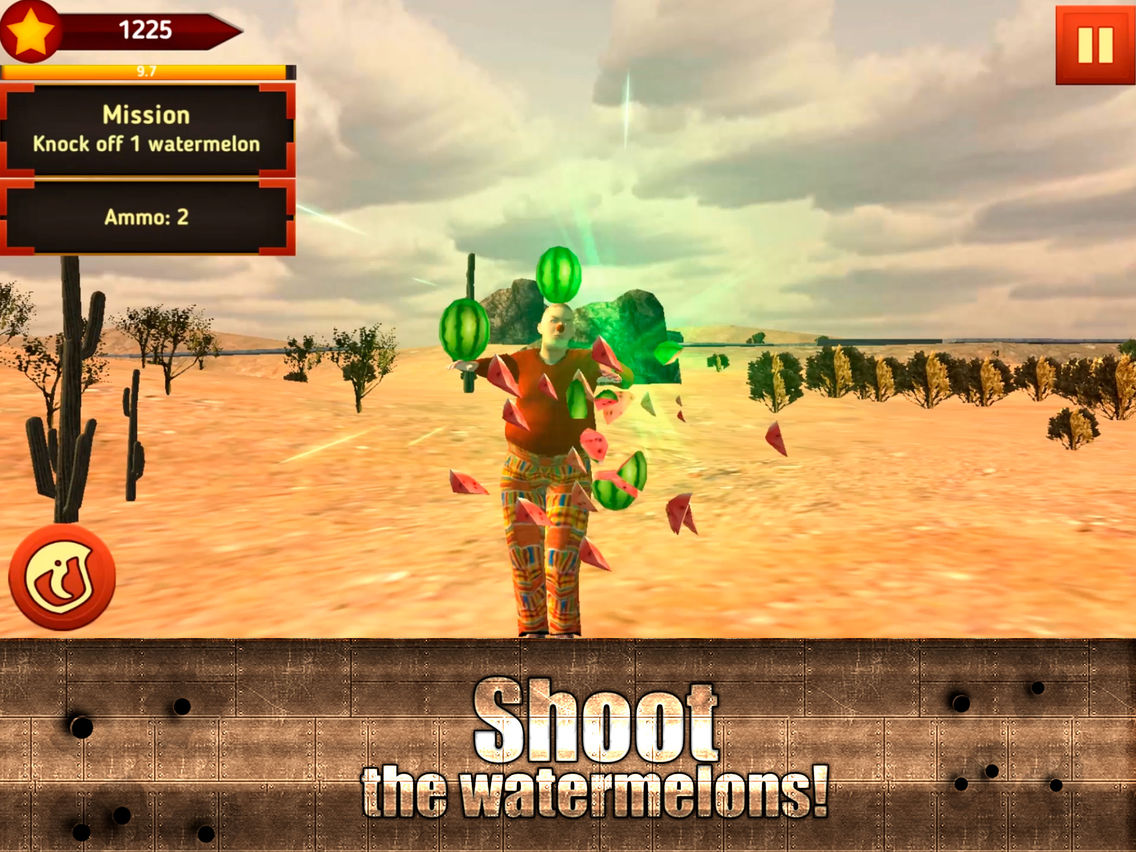 Watermelon Shooting Ranger Pro poster