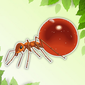 Ant coloração página Desenhos Livro criança