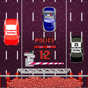 Police 12