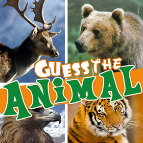 Guess the animal hidden mystery