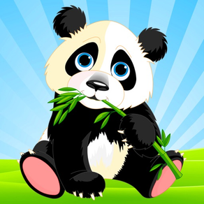 Panda Matching Express
