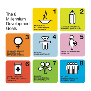 UN Millennium Development Goal