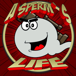 A Sperm's Life: A quest to fertilize an egg