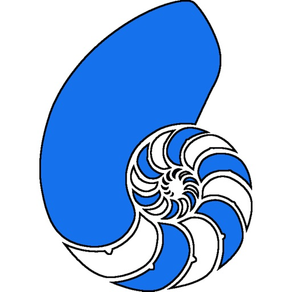 Nautilus