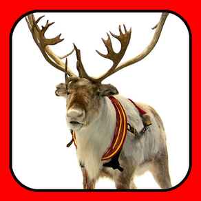 ReindeerCam - Watch Santa's Reindeer & More!