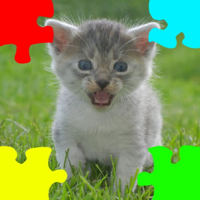 子猫(子ネコ,子ねこ)のジグソーパズル