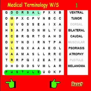 Medical Terminology Wordsearch