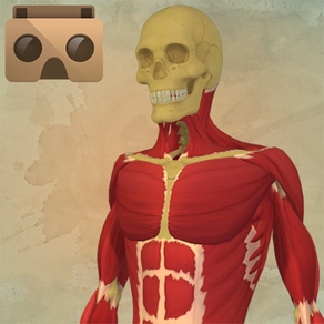 Anatomy VR