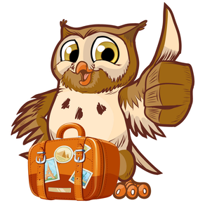 Travel Owl -The Travel Begins!