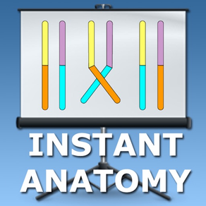 Embryology Lectures