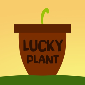 LUCKY PLANT - Change your luck!