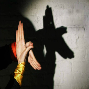 Hands Shadow Puppet