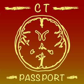 CT Passport 頭部