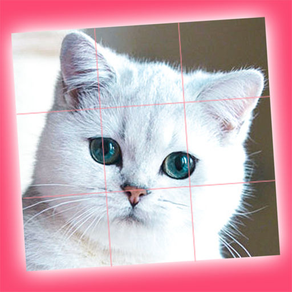 Cute Kittens - Easy Puzzle