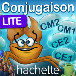 Révise ta conjugaison LT