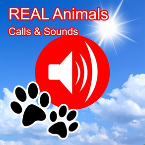 2000+ Animal Sounds Calls