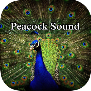 Peacock - Chirping Sounds