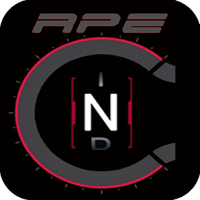 RPEDash: OBD-II Digital Gauges