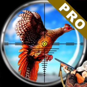 Fasan Vogel Jagd Pro