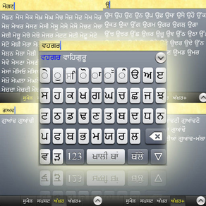 Punjabi Keyboards Pro with Dictionary & More