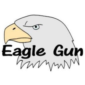 Eagle Gun indoor Range