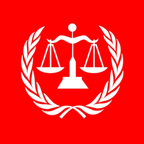 中国经济国际交通诉讼法