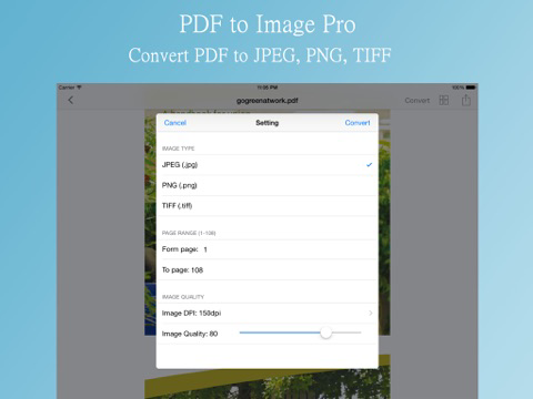 PDF2Image Edition - for Convert PDF to Image(JPEG,PNG,TIFF), Extract ...