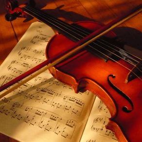古典音樂學習| 工作時間