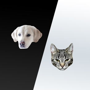 Cats and Dogs Stickers - Chats