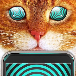 Real Cat Hypnosis Simulator