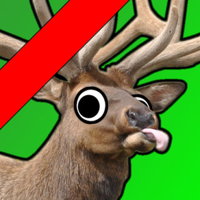 Elk Murder HD