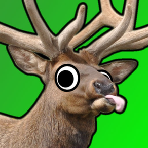 Super Elk Murder HD