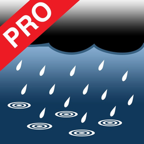 Rain Log Pro