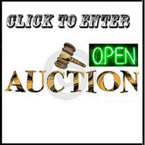 ACouponPlace Auction