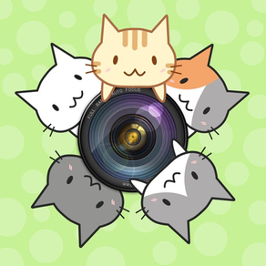 CatCamera -Take photos with cats!-