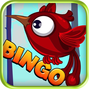 Bingo Kiwi Bash