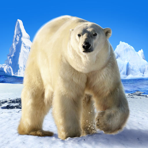 Arctic Bear Survival Simulator