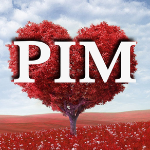 PIM - Promises in Moments
