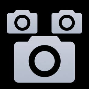 Synchronous Camera