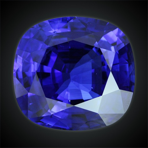 Gem Weight Estimator