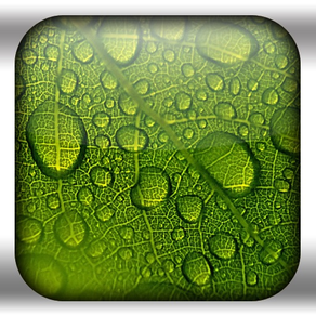 retina wallpapers 960*640